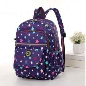 Crinkle Nylon Backpack